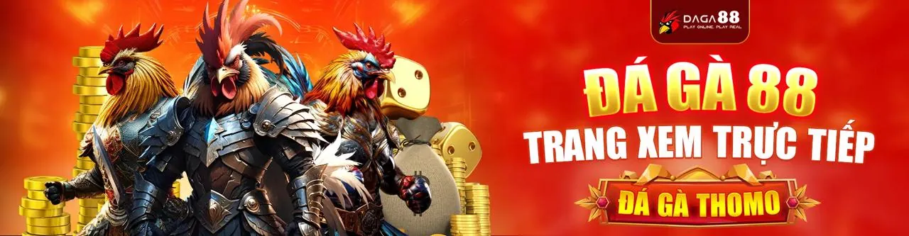 Một trận đá gà trực tiếp kịch tính tại x1vn